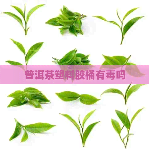 普洱茶塑料胶桶有吗