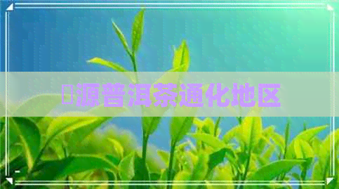 潤源普洱茶通化地区