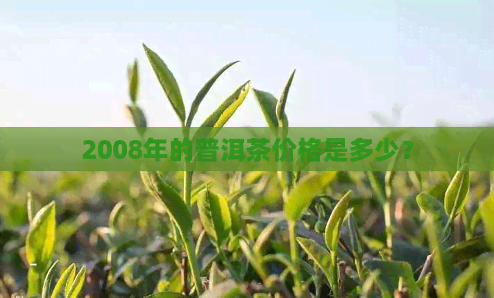 2008年的普洱茶价格是多少？