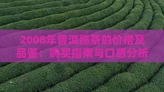 2008年普洱熟茶的价格及品鉴：购买指南与口感分析