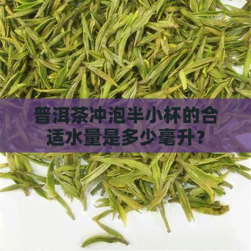 普洱茶冲泡半小杯的合适水量是多少毫升？