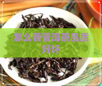 怎么看普洱茶品质好坏