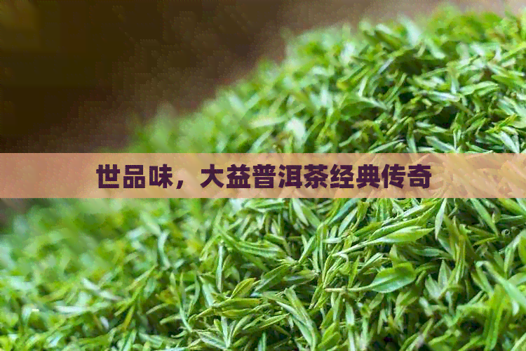 世品味，大益普洱茶经典传奇