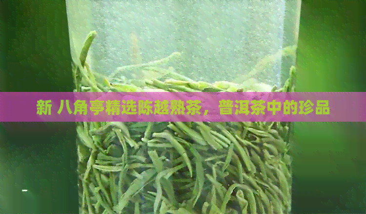 新 八角亭精选陈越熟茶，普洱茶中的珍品