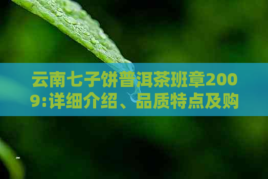 云南七子饼普洱茶班章2009:详细介绍、品质特点及购买指南