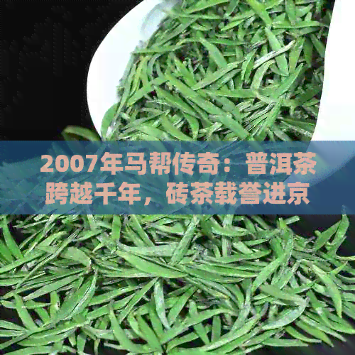 2007年马帮传奇：普洱茶跨越千年，砖茶载誉进京