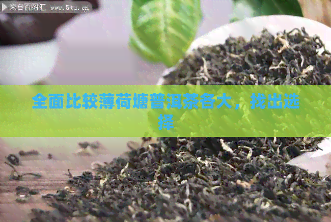 全面比较薄荷塘普洱茶各大，找出选择