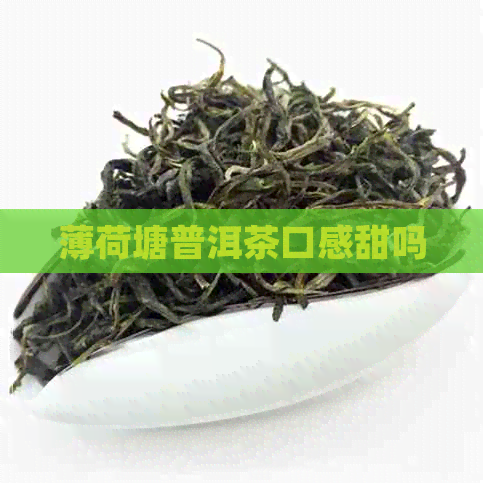 薄荷塘普洱茶口感甜吗