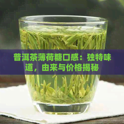 普洱茶薄荷糖口感：独特味道，由来与价格揭秘