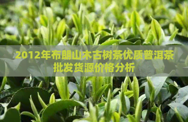 2012年布朗山木古树茶优质普洱茶批发货源价格分析