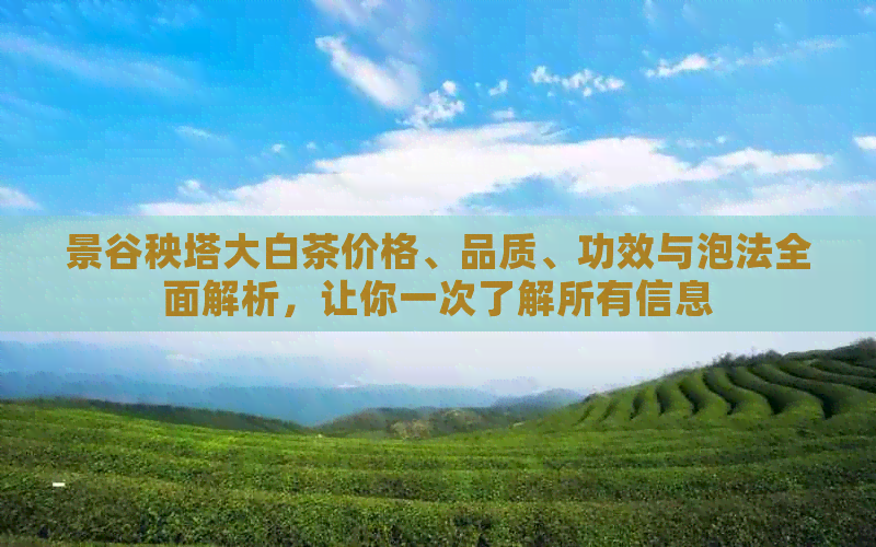 景谷秧塔大白茶价格、品质、功效与泡法全面解析，让你一次了解所有信息