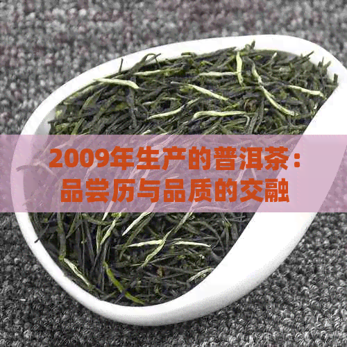 2009年生产的普洱茶：品尝历与品质的交融