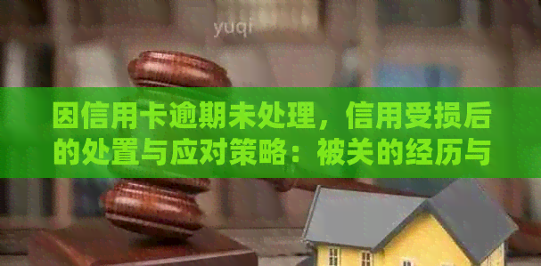 因信用卡逾期未处理，信用受损后的处置与应对策略：被关的经历与启示