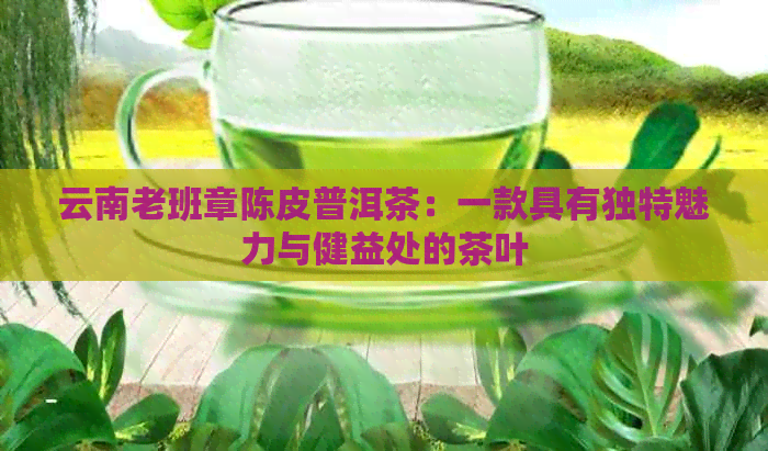 云南老班章陈皮普洱茶：一款具有独特魅力与健益处的茶叶