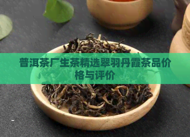 普洱茶厂生茶精选翠羽丹霞茶品价格与评价