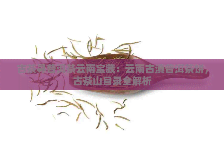 古茶寻普洱茶云南宝藏：云南古滇普洱茶饼，古茶山目录全解析