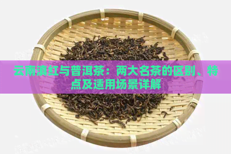 云南滇红与普洱茶：两大名茶的区别、特点及适用场景详解