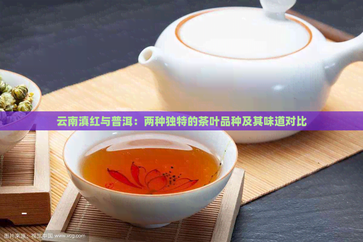 云南滇红与普洱：两种独特的茶叶品种及其味道对比