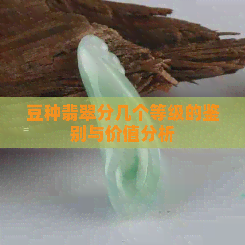 豆种翡翠分几个等级的鉴别与价值分析