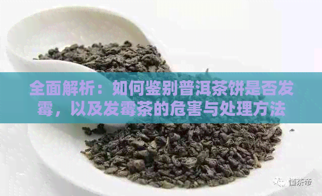 全面解析：如何鉴别普洱茶饼是否发霉，以及发霉茶的危害与处理方法