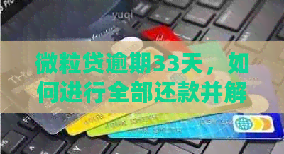 微粒贷逾期33天，如何进行全部还款并解决可能遇到的问题？