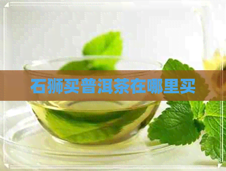 石狮买普洱茶在哪里买