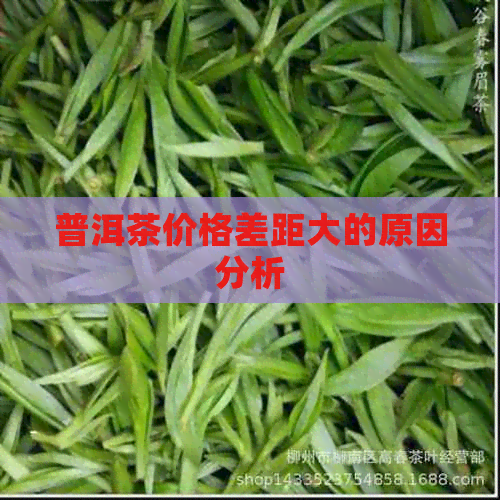 普洱茶价格差距大的原因分析