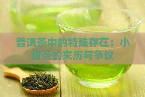 普洱茶中的特殊存在：小甜茶的来历与争议