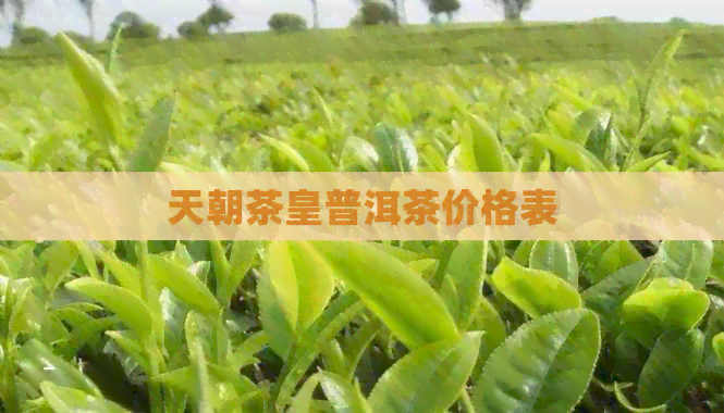 天朝茶皇普洱茶价格表