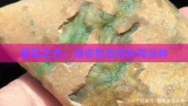 翡翠之光：油润如玉的珍稀品种