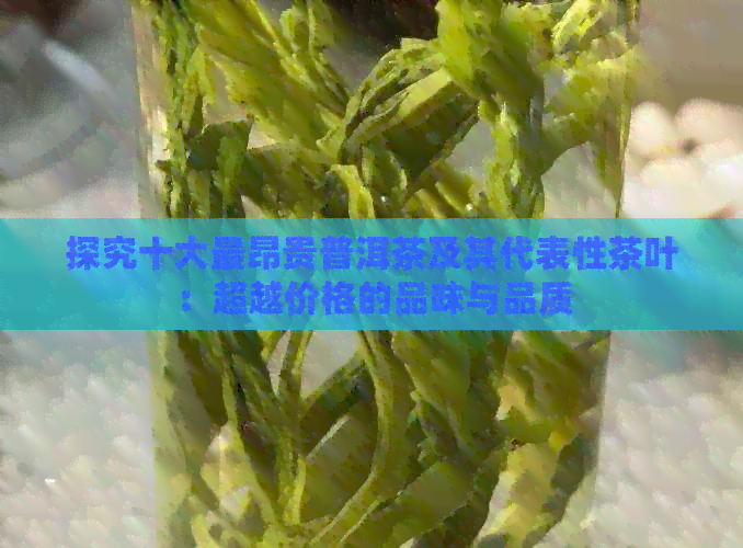 探究十大最昂贵普洱茶及其代表性茶叶：超越价格的品味与品质