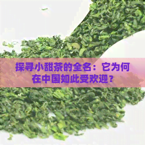 探寻小甜茶的全名：它为何在中国如此受欢迎？