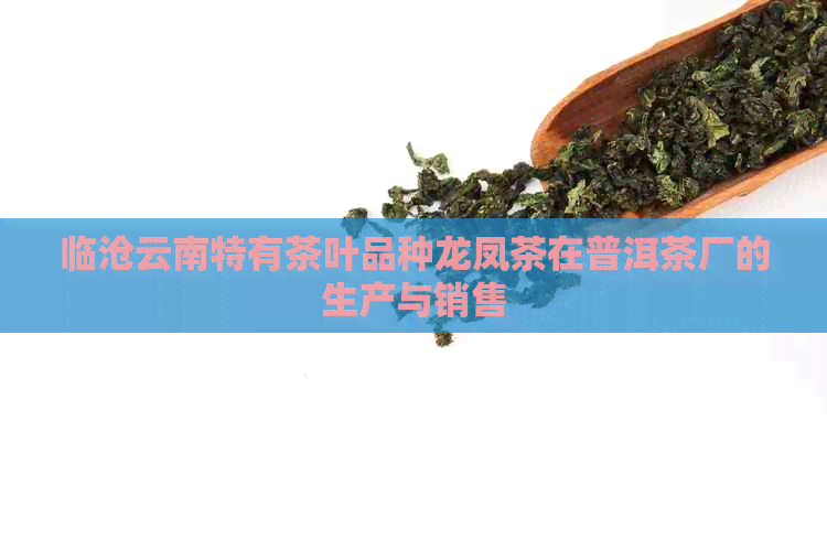 临沧云南特有茶叶品种龙凤茶在普洱茶厂的生产与销售