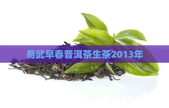 易武早春普洱茶生茶2013年