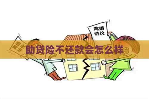 助贷险不还款会怎么样