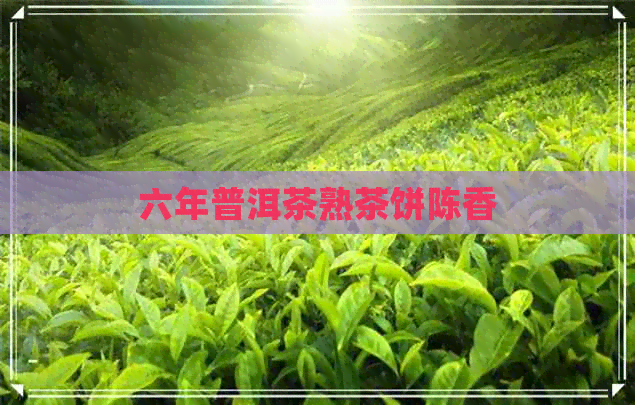 六年普洱茶熟茶饼陈香