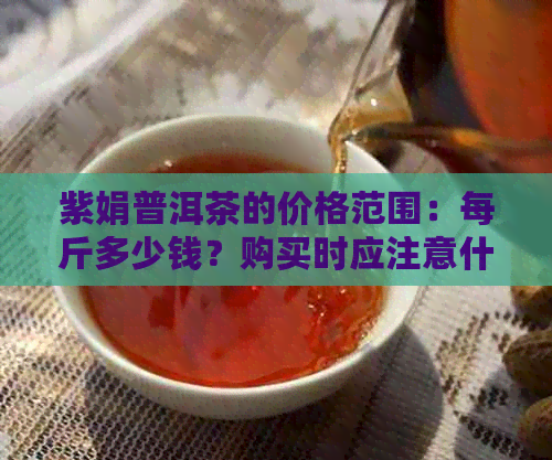 紫娟普洱茶的价格范围：每斤多少钱？购买时应注意什么？