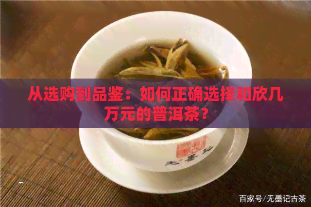 从选购到品鉴：如何正确选择和欣几万元的普洱茶？