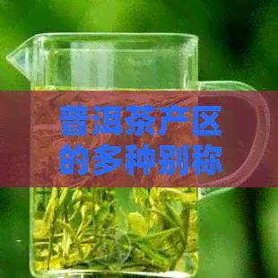 普洱茶产区的多种别称及其地理位置，全面解答用户关于普洱茶产地的疑问