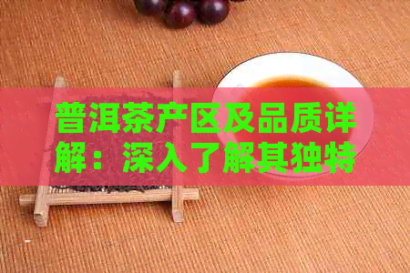 普洱茶产区及品质详解：深入了解其独特魅力与风味差异