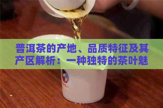 普洱茶的产地、品质特征及其产区解析：一种独特的茶叶魅力探析