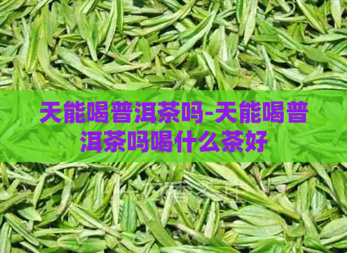 天能喝普洱茶吗-天能喝普洱茶吗喝什么茶好