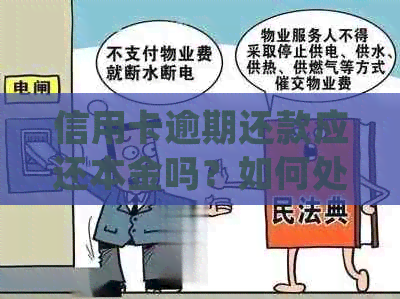 信用卡逾期还款应还本金吗？如何处理？相关法律问题解析。