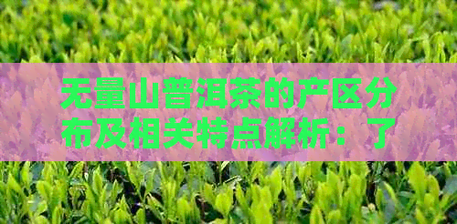 无量山普洱茶的产区分布及相关特点解析：了解产地及品鉴方法