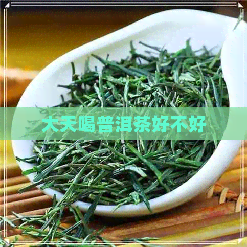 大天喝普洱茶好不好