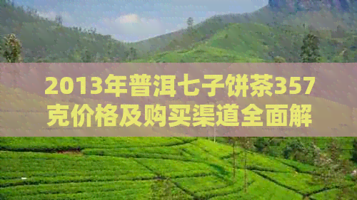 2013年普洱七子饼茶357克价格及购买渠道全面解析