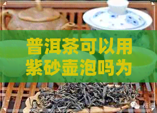 普洱茶可以用紫砂壶泡吗为什么