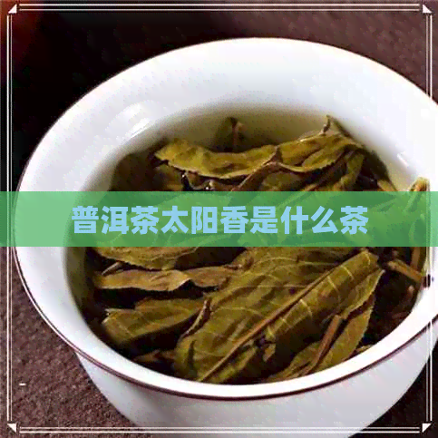 普洱茶太阳香是什么茶