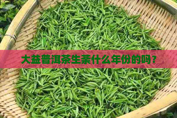 大益普洱茶生荼什么年份的吗？