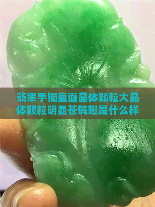 翡翠手镯里面晶体颗粒大晶体颗粒明显苍蝇翅是什么样？好养吗？